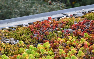 the cost of Great Coates green roof installation