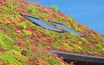 Great Coates living roof systems