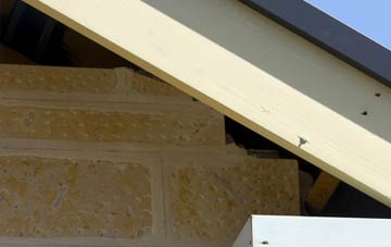 soffit repair Great Coates